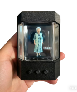 Customized voice （You need to provide your phone number and email address.）